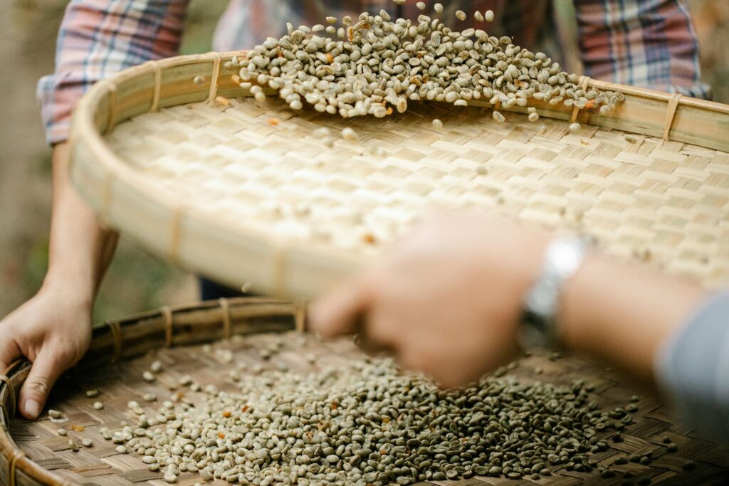 "removing shells from green coffee beans"