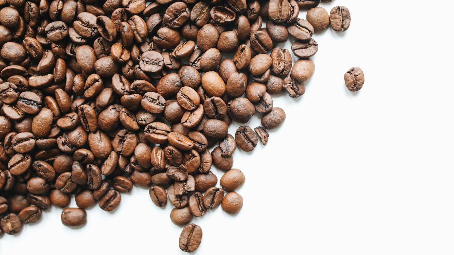 "roasted arabica coffee beans"